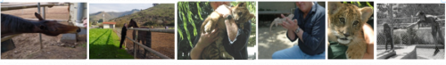 ANIMAL-RESCUE-CENTER-SPONSOR.png