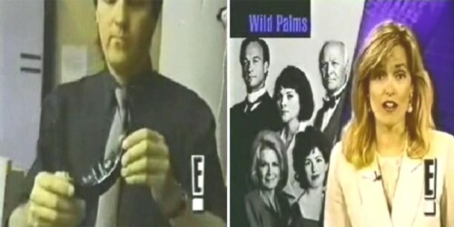 palms.jpg